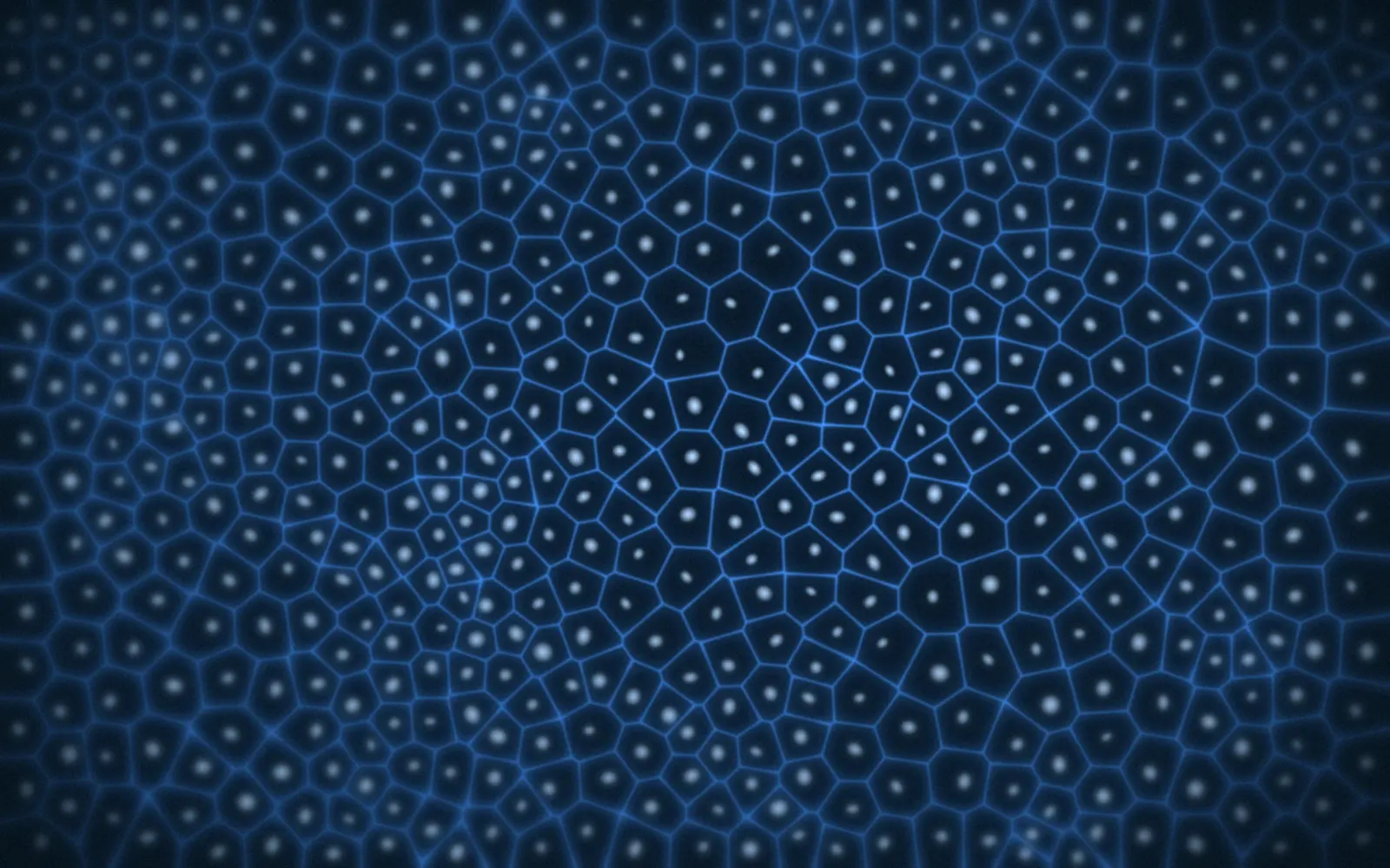 Illustration: microscopy-inspired field of pale blue polygonal cell membranes and nuclei on deep navy